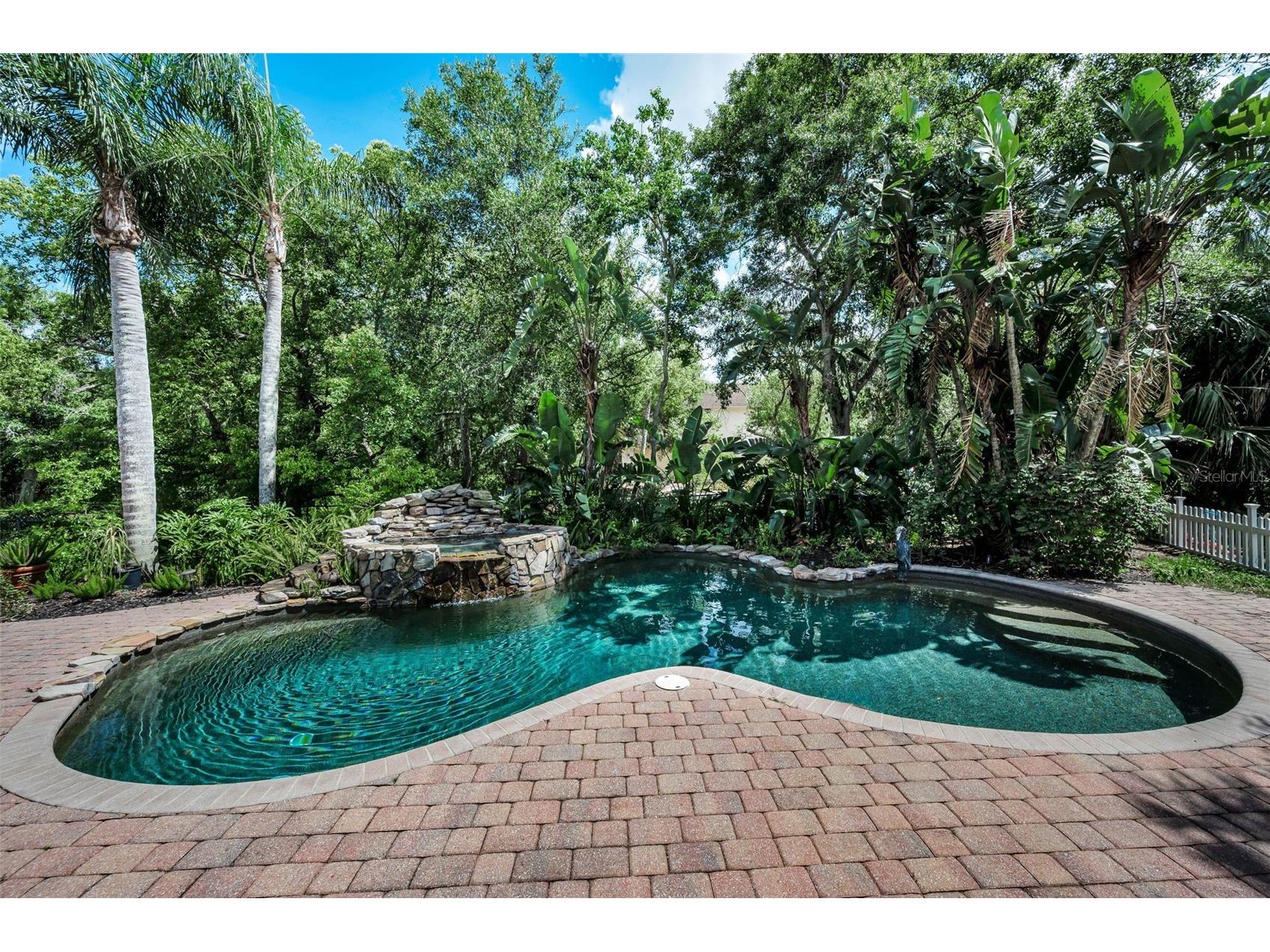 3525 Fairview Street Safety Harbor FL 34695 TB8512600 image75