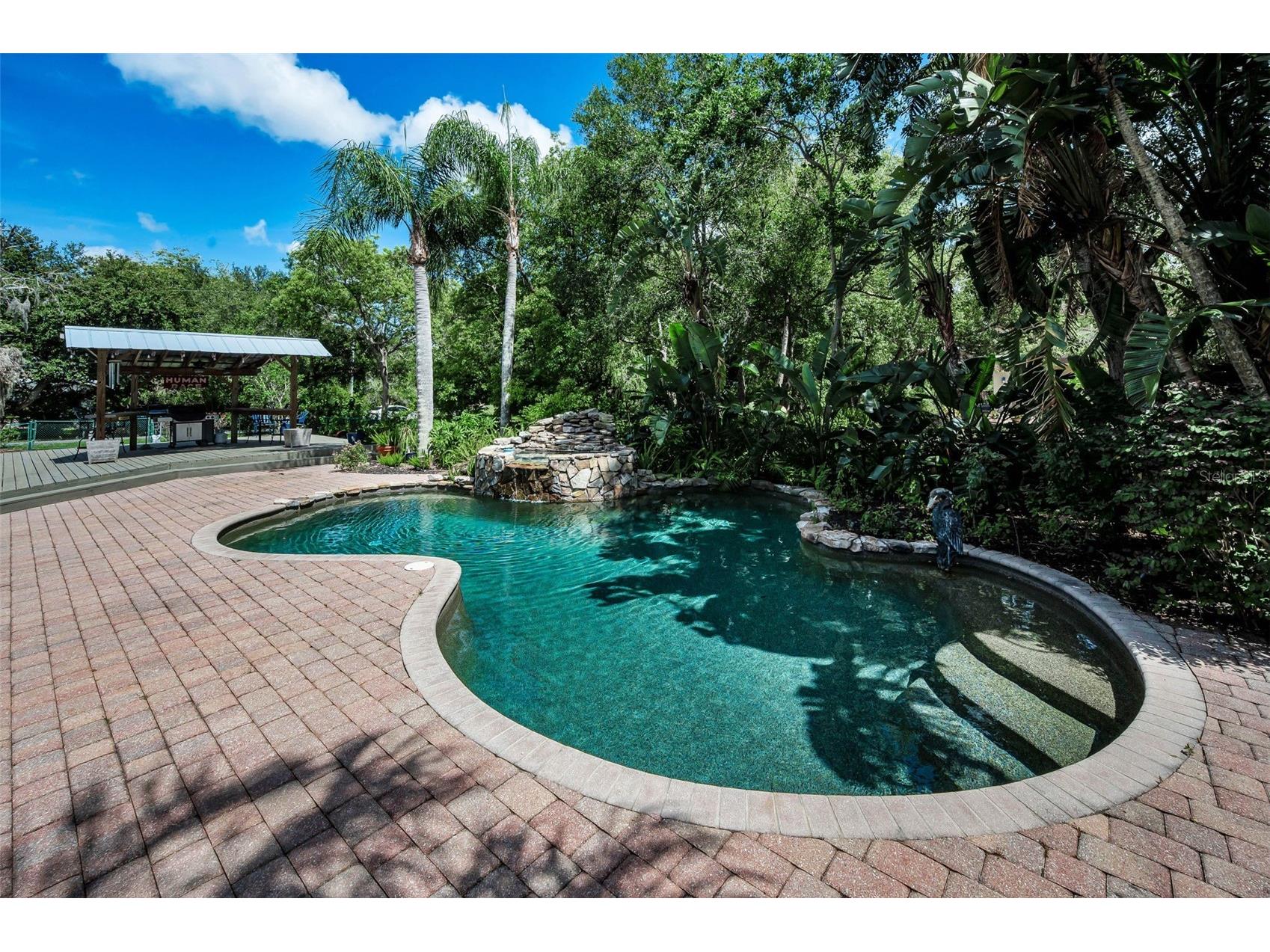 3525 Fairview Street Safety Harbor FL 34695 TB8512600 image77