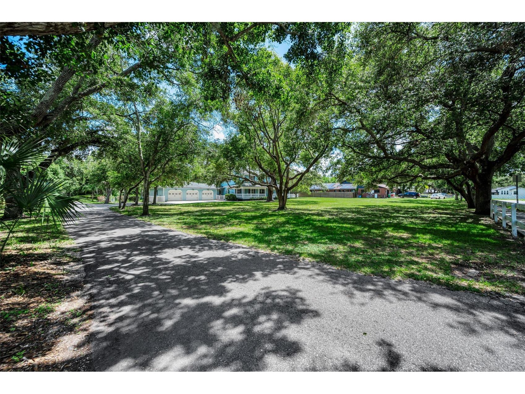 3525 Fairview Street Safety Harbor FL 34695 TB8512600 image8