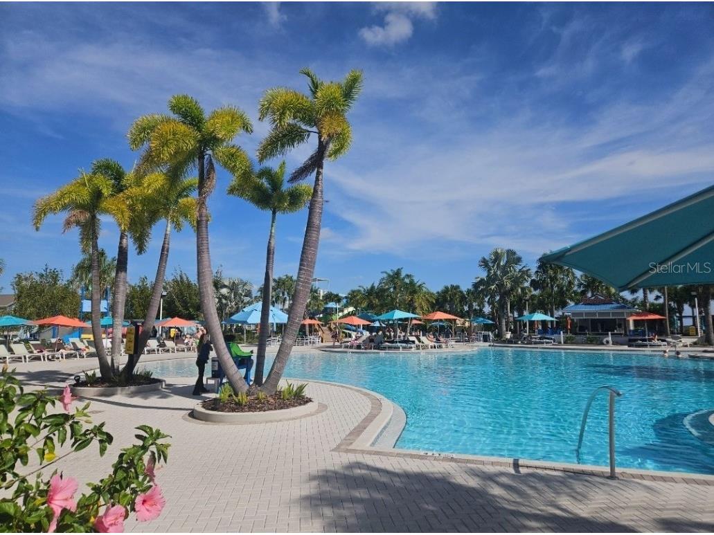 3525 Lavender Drive Davenport FL 33897 S5113684 image42