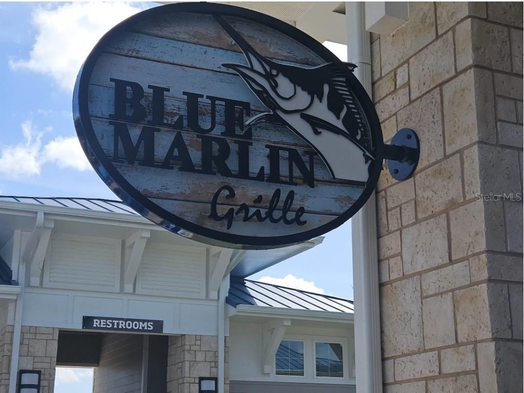 3525 Lavender Drive Davenport FL 33897 S5113684 image45