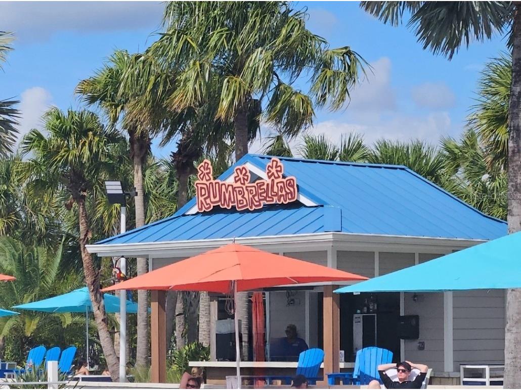 3525 Lavender Drive Davenport FL 33897 S5113684 image47