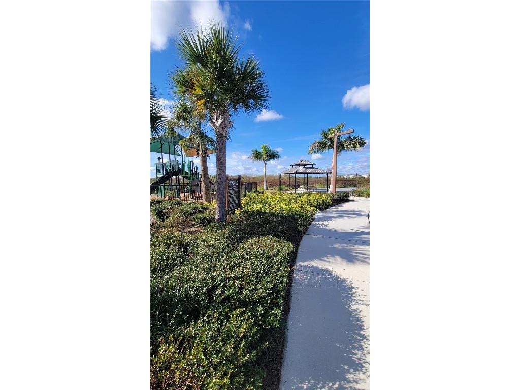 3525 Marigold Patch Court Plant City FL 33565 TB8460059 image32