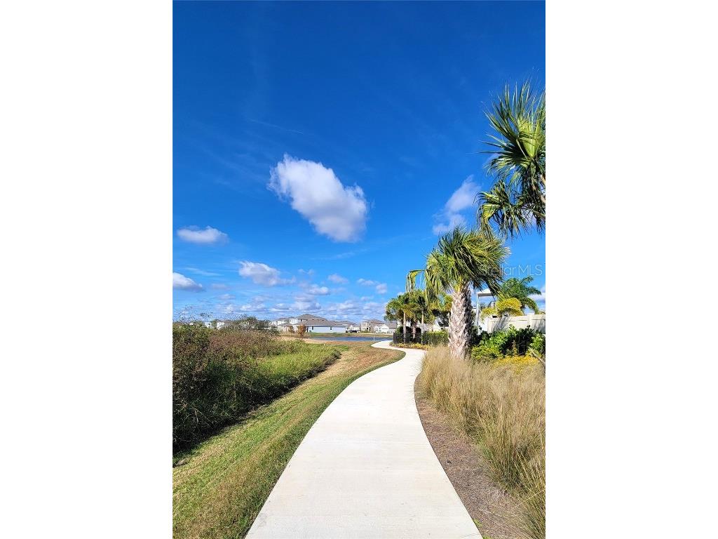 3525 Marigold Patch Court Plant City FL 33565 TB8460059 image38
