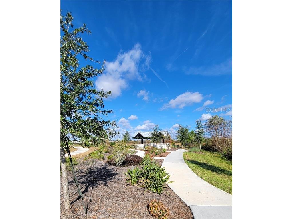 3525 Marigold Patch Court Plant City FL 33565 TB8460059 image40