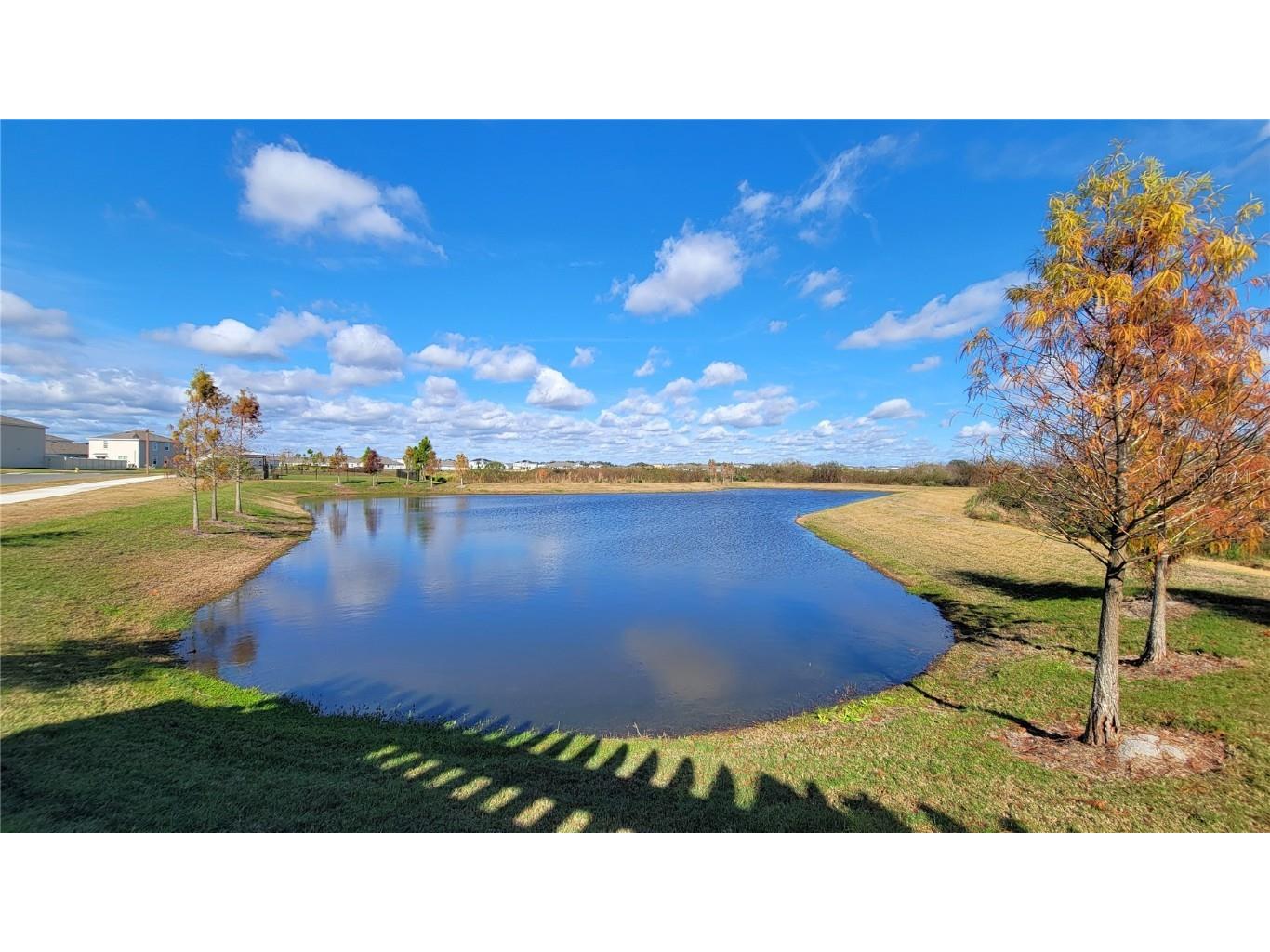 3525 Marigold Patch Court Plant City FL 33565 TB8460059 image42