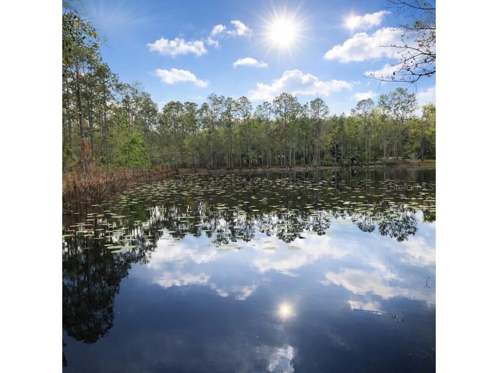 3525 Michigan Street Lake Mary FL 32746 O6368786 image1