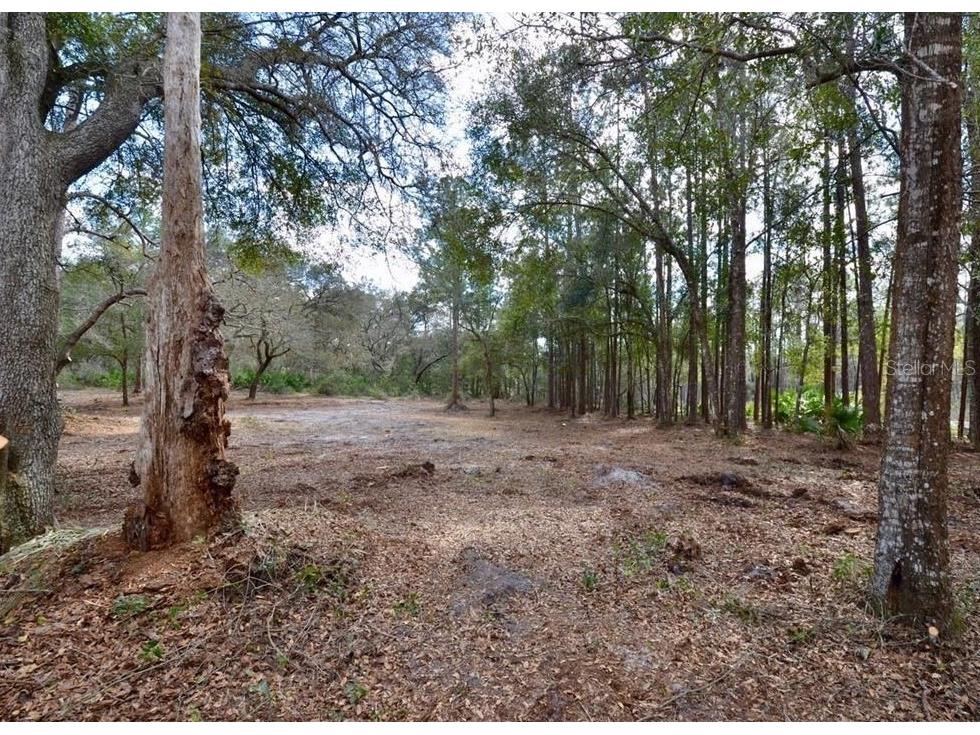 3525 Michigan Street Lake Mary FL 32746 O6368786 image11