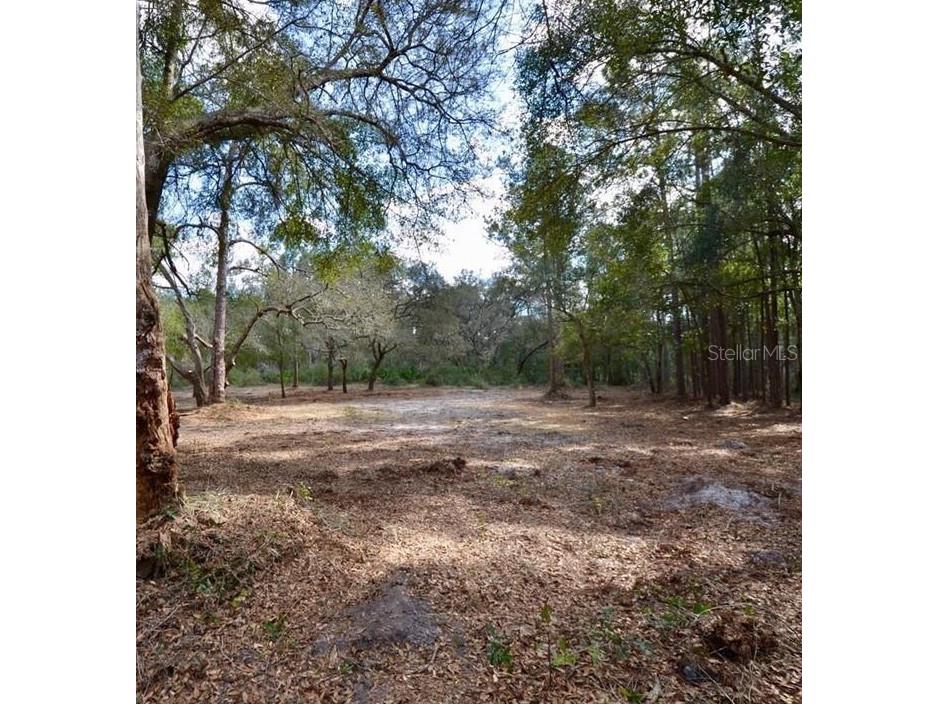 3525 Michigan Street Lake Mary FL 32746 O6368786 image12