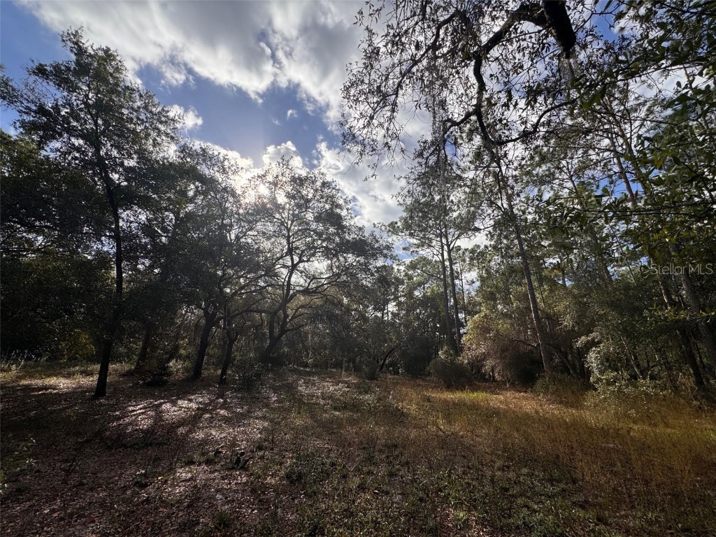 3525 Michigan Street Lake Mary FL 32746 O6368786 image18