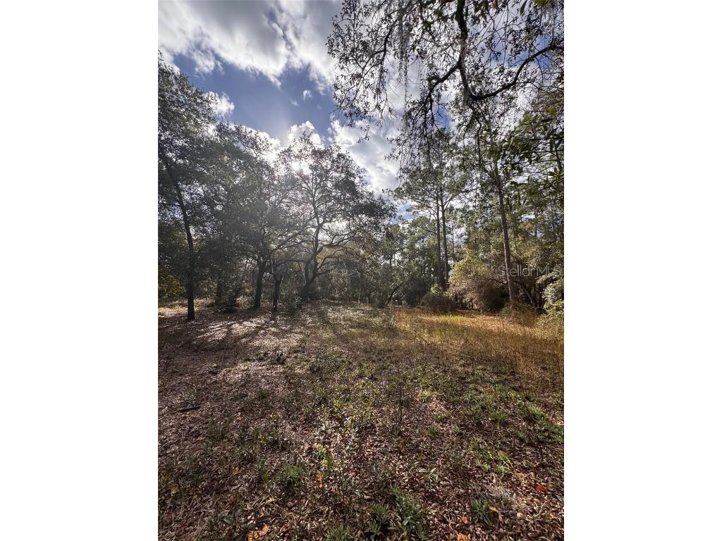 3525 Michigan Street Lake Mary FL 32746 O6368786 image19