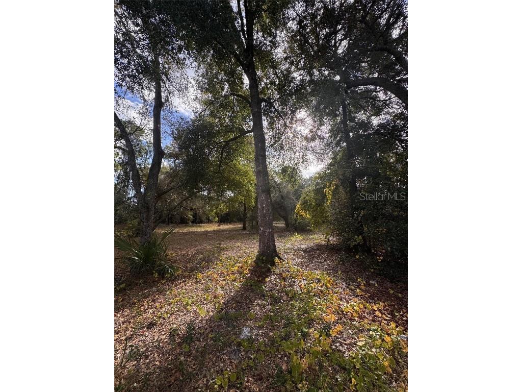 3525 Michigan Street Lake Mary FL 32746 O6368786 image20