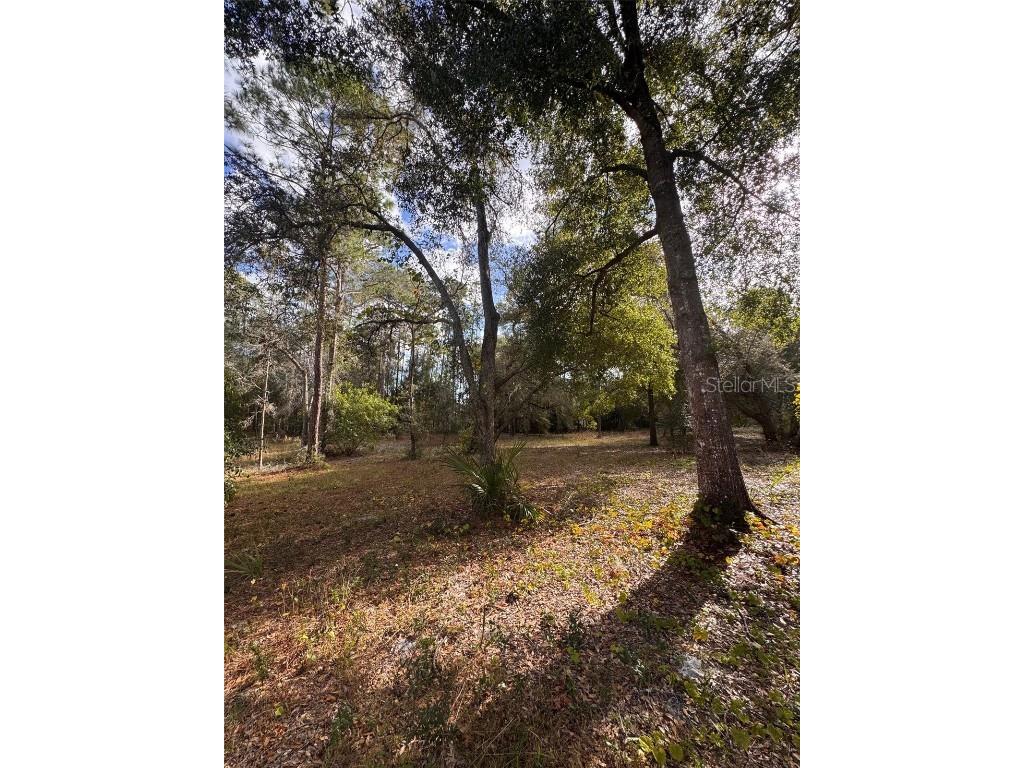 3525 Michigan Street Lake Mary FL 32746 O6368786 image21