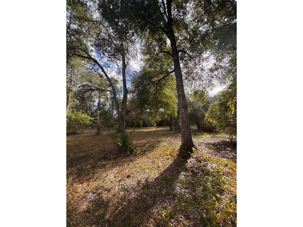 3525 Michigan Street Lake Mary FL 32746 O6368786 image22