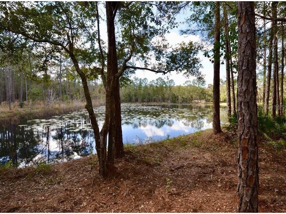 3525 Michigan Street Lake Mary FL 32746 O6368786 image3