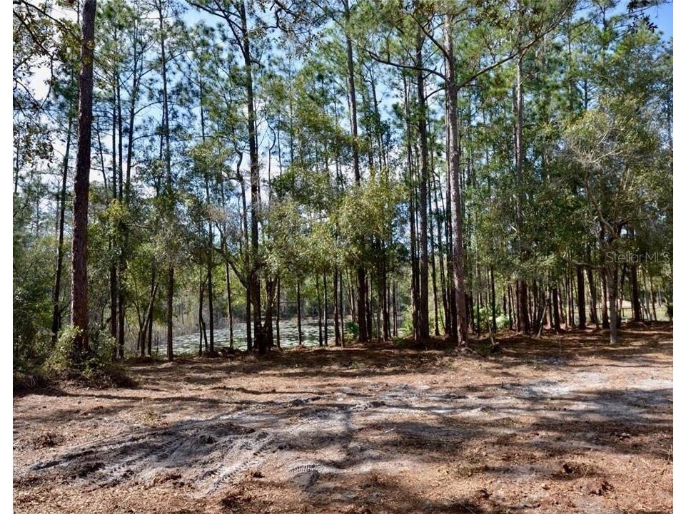 3525 Michigan Street Lake Mary FL 32746 O6368786 image4