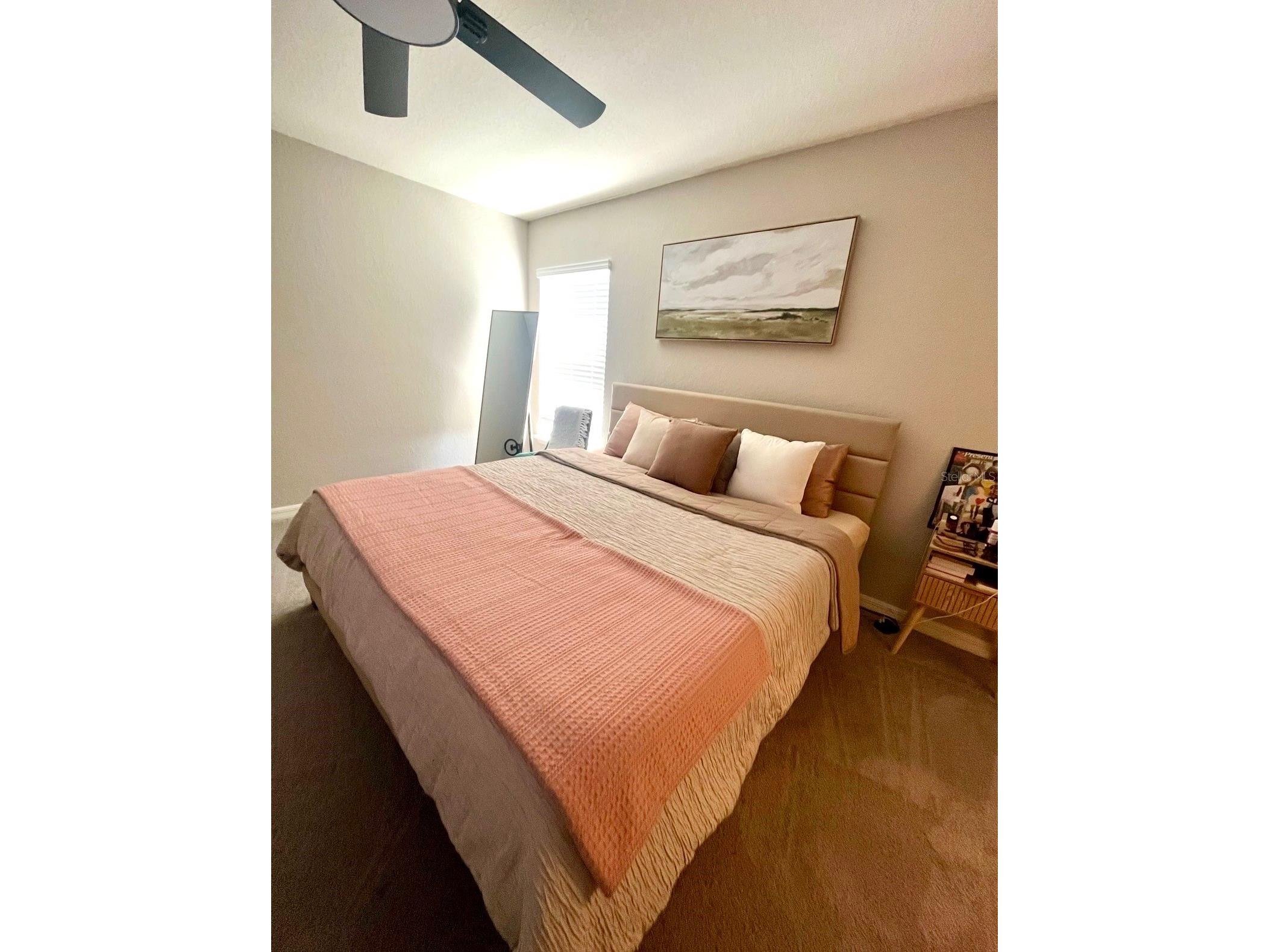 35255 Crescent Creek Drive Zephyrhills FL 33541 TB8510922 image11