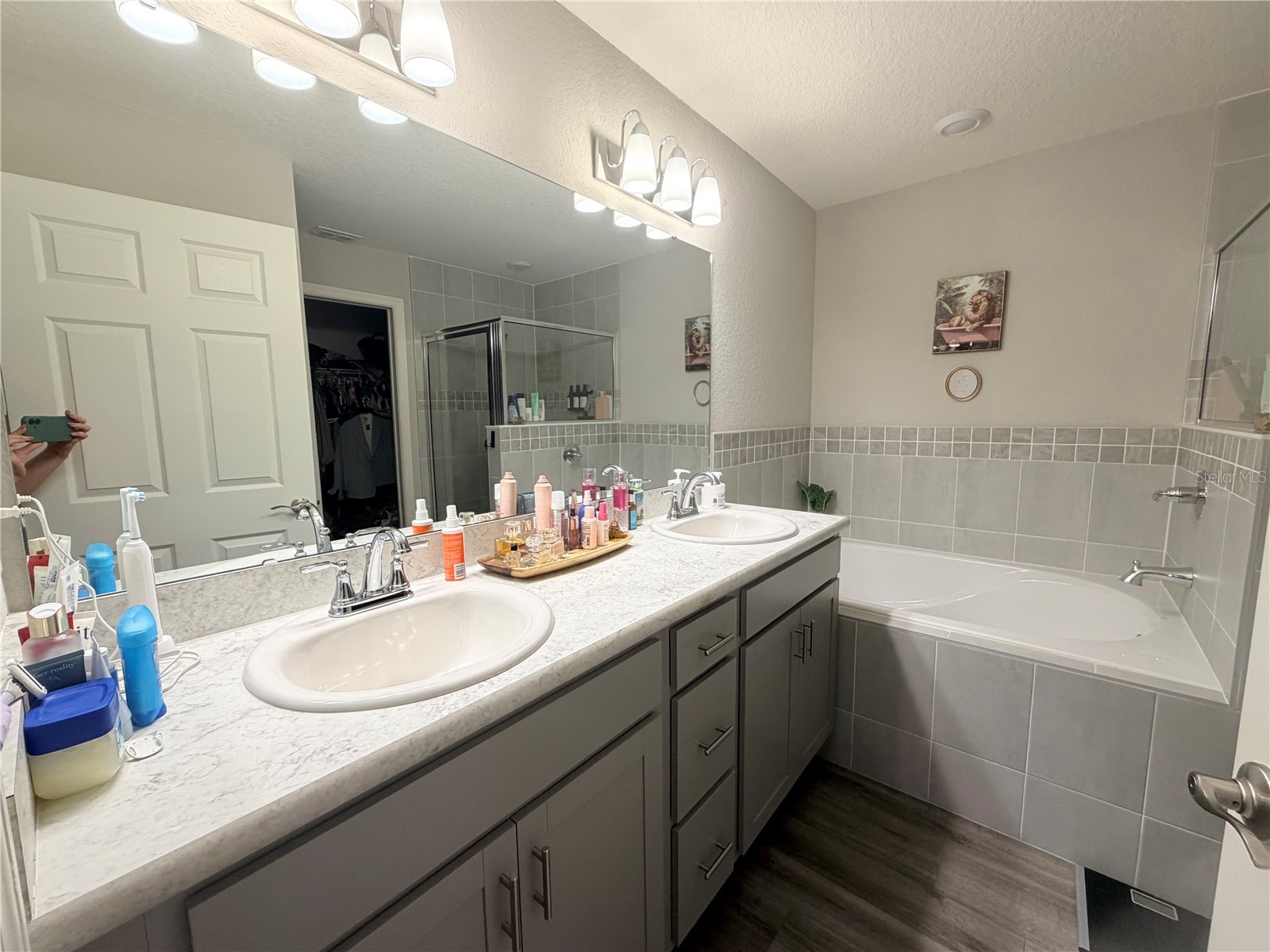 35255 Crescent Creek Drive Zephyrhills FL 33541 TB8510922 image6