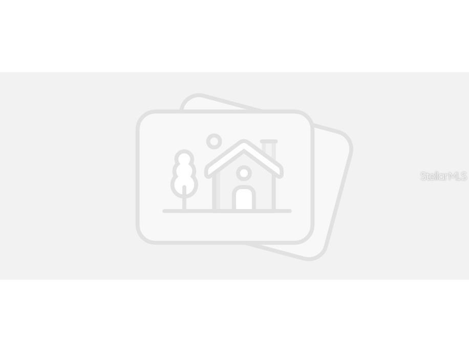 35268 Ackley Trace Zephyrhills FL 33541 J980175 image1