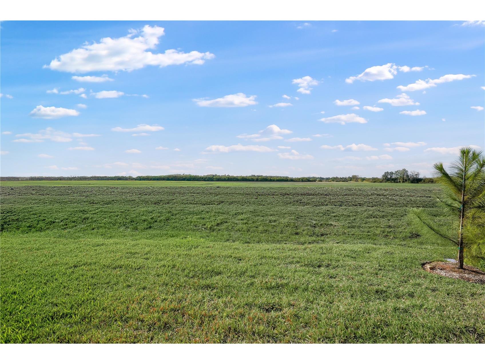 3527 Night Star Terrace Parrish FL 34219 TB8374967 image6