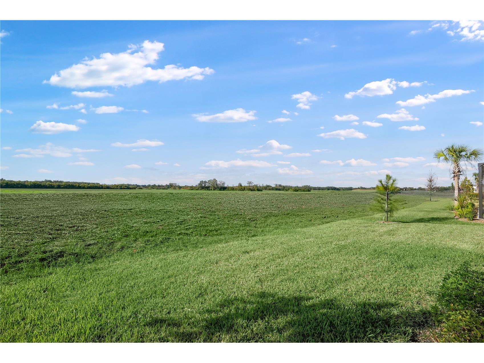 3527 Night Star Terrace Parrish FL 34219 TB8374967 image7