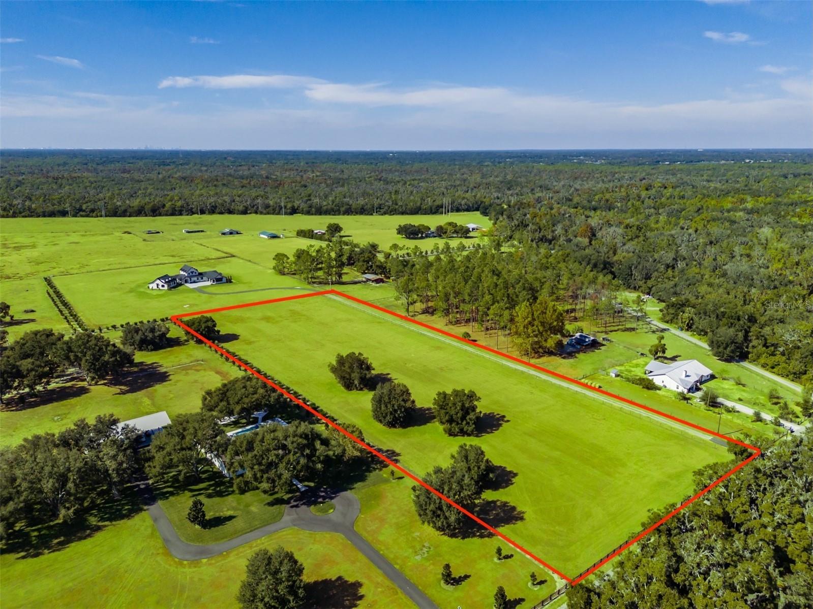 3527 Powerline Road Lithia FL 33547 TB8517223 image4