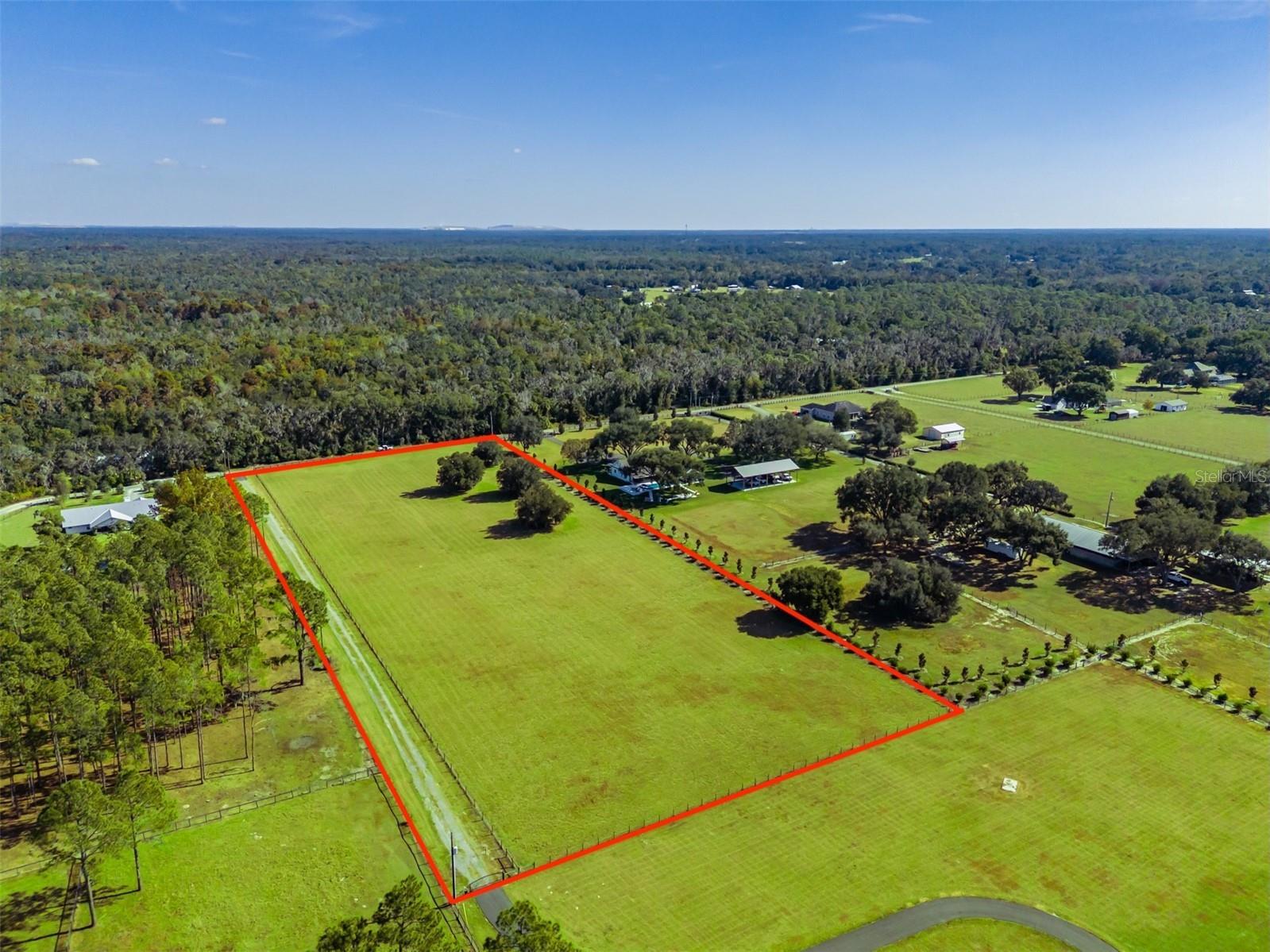 3527 Powerline Road Lithia FL 33547 TB8517223 image6