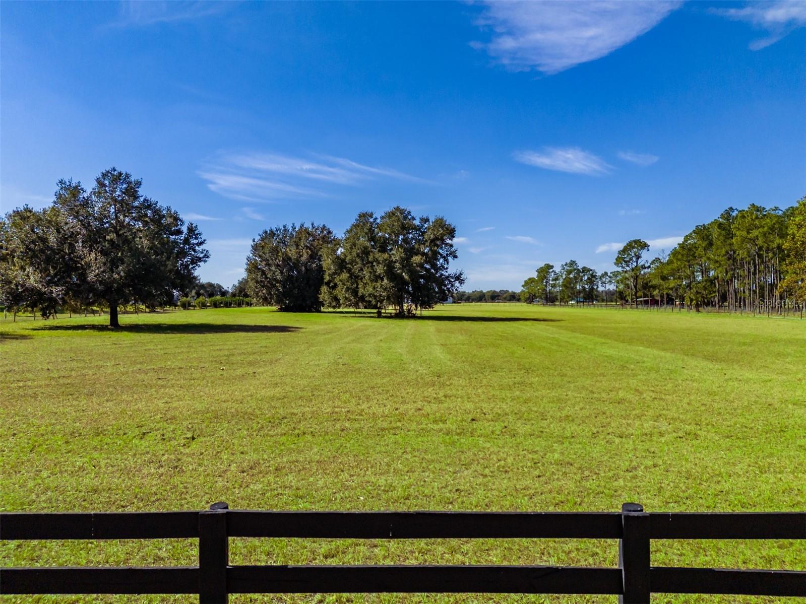 3527 Powerline Road Lithia FL 33547 TB8517223 image7