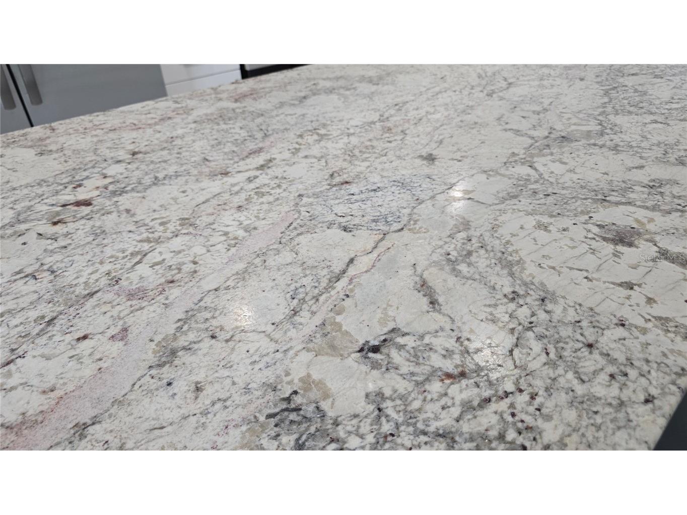 3527 Richboro Drive Holiday FL 34691 TB8431646 image16