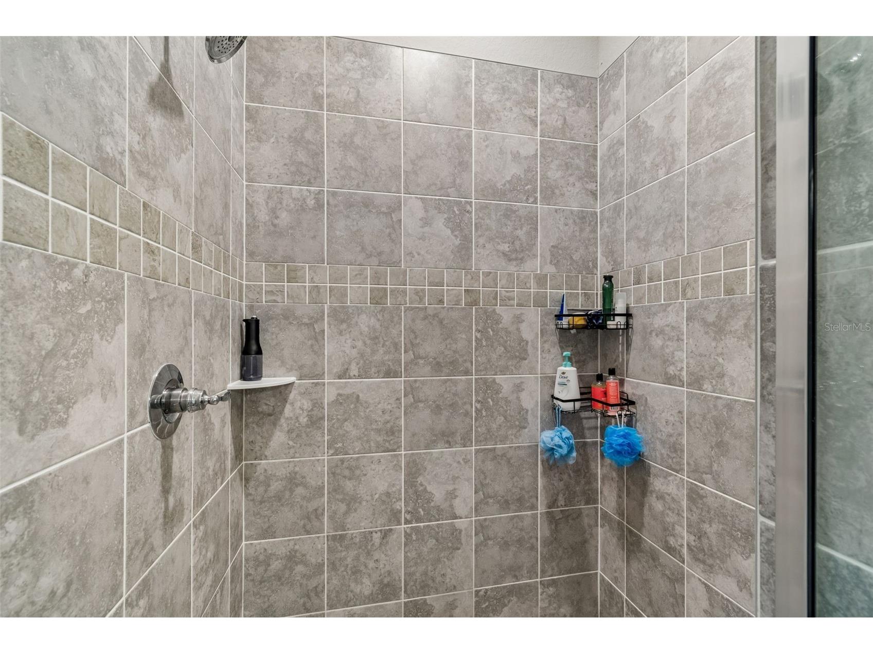 35271 Crescent Creek Drive Zephyrhills FL 33541 TB8518928 image27