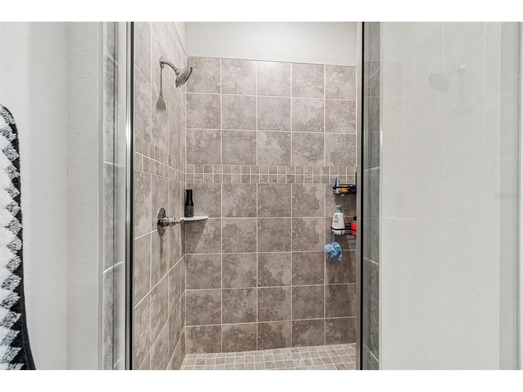 35271 Crescent Creek Drive Zephyrhills FL 33541 TB8518928 image28