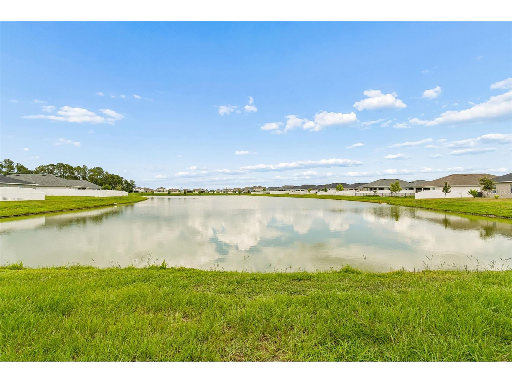 35271 Crescent Creek Drive Zephyrhills FL 33541 TB8518928 image32