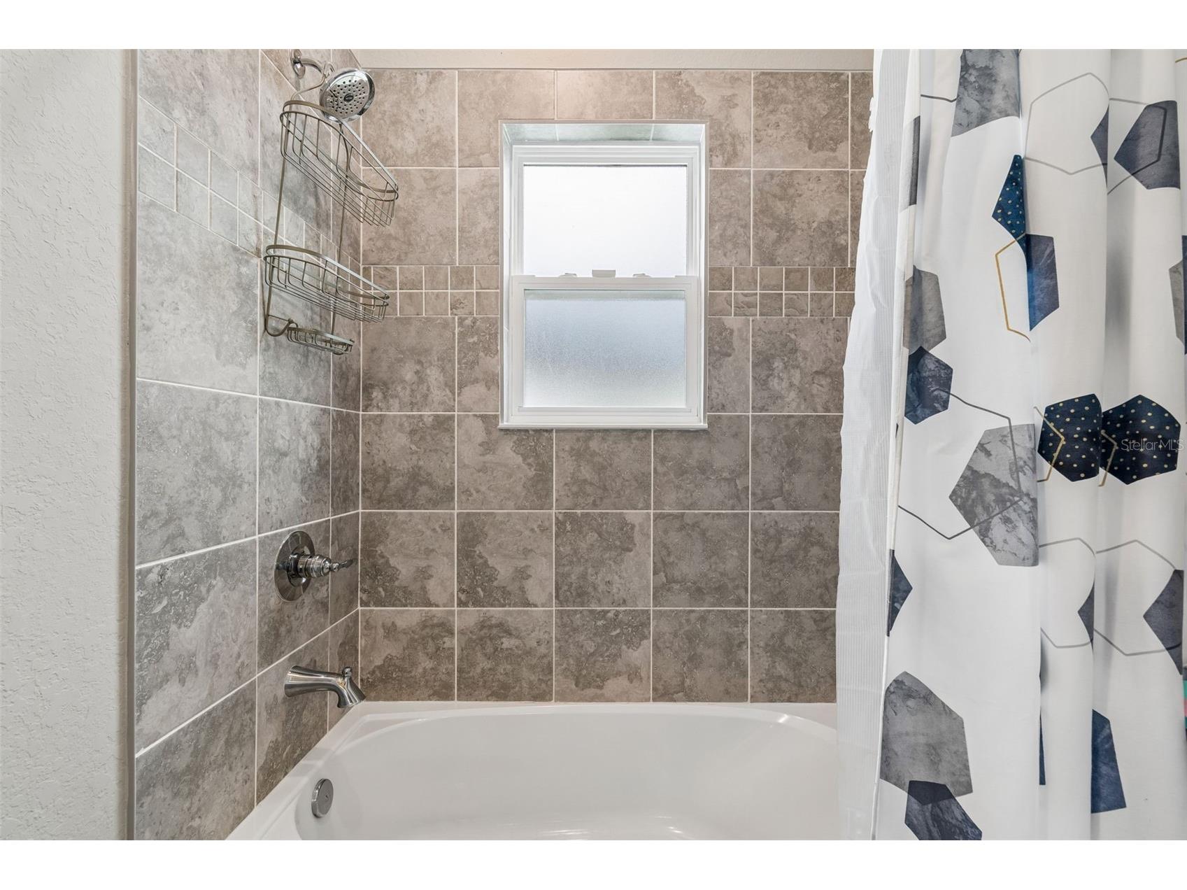 35271 Crescent Creek Drive Zephyrhills FL 33541 TB8518928 image43