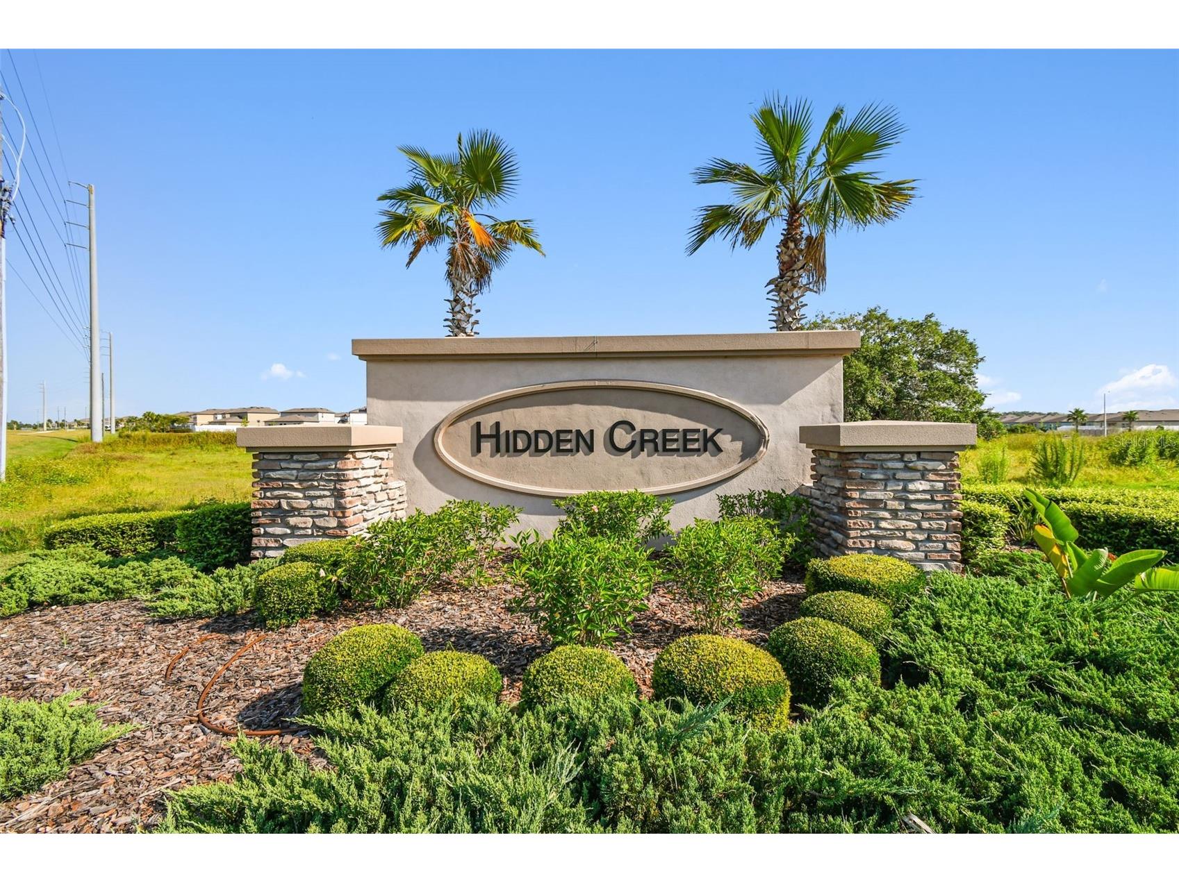 35271 Crescent Creek Drive Zephyrhills FL 33541 TB8518928 image75