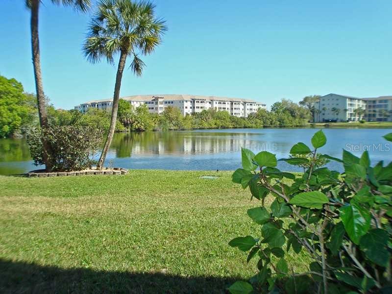 3528 Lake Bayshore Drive #K-115 Bradenton FL 34205 A4639652 image22