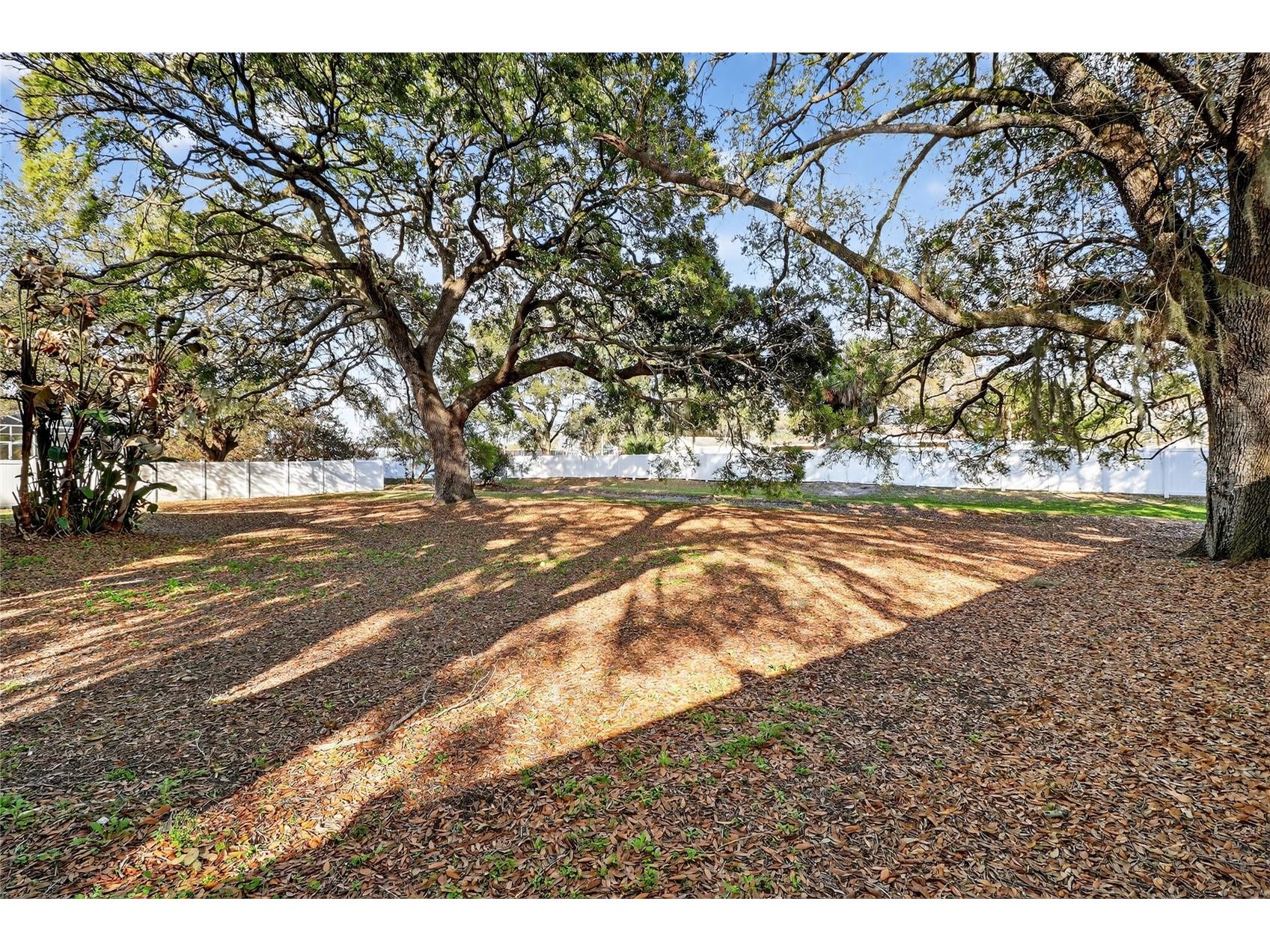 3528 Lismore Drive Lakeland FL 33803 L4958482 image21