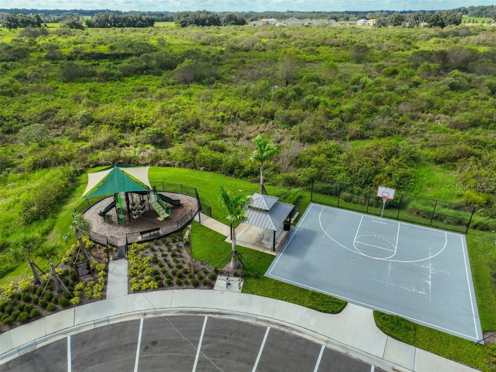 3528 Maple Grove Way Plant City FL 33565 TB8432578 image51