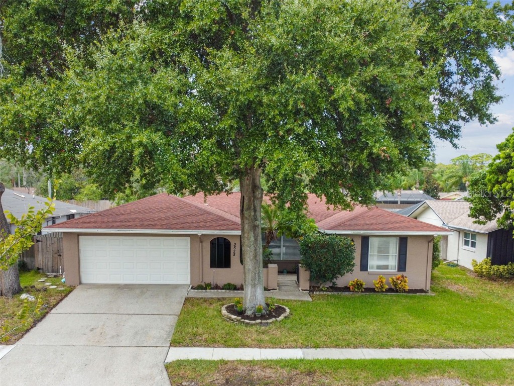 3528 Snowy Egret Court Palm Harbor FL 34683 U8214062 image1