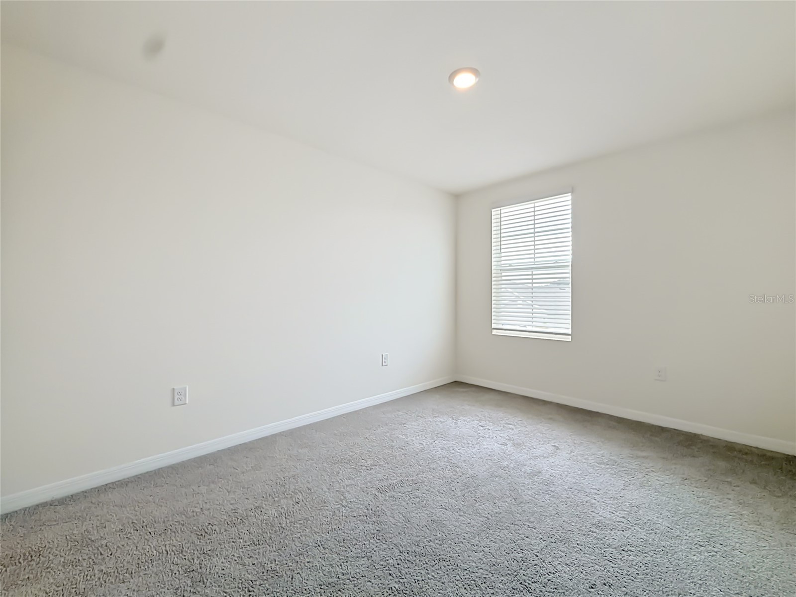 35288 Spruce Knob Court Dade City FL 33525 TB8516752 image87