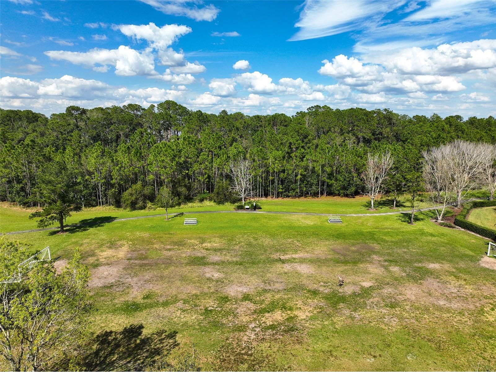 3529 Clay Brick Road Saint Cloud FL 34773 - CAT LAKE & BUCK LAKE S5141141 image81