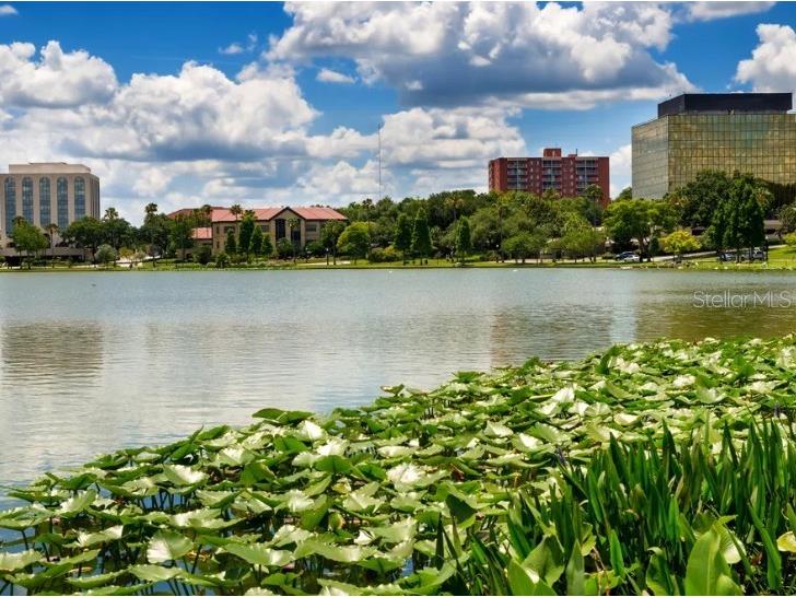 3529 Eagles Crossing Way Lakeland FL 33803 O6374559 image23