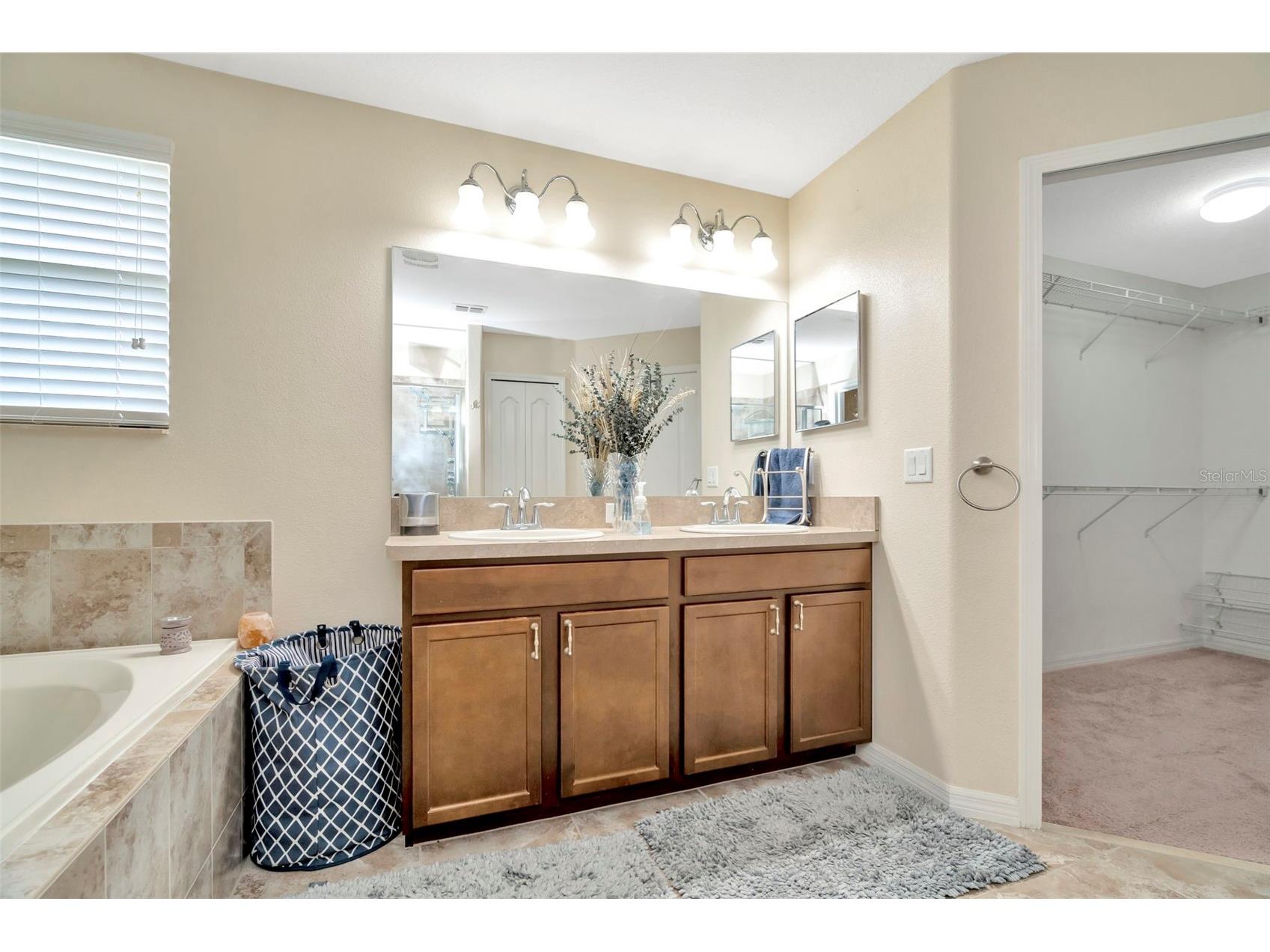 3529 Lefays Point Land O Lakes FL 34638 TB8479554 image27