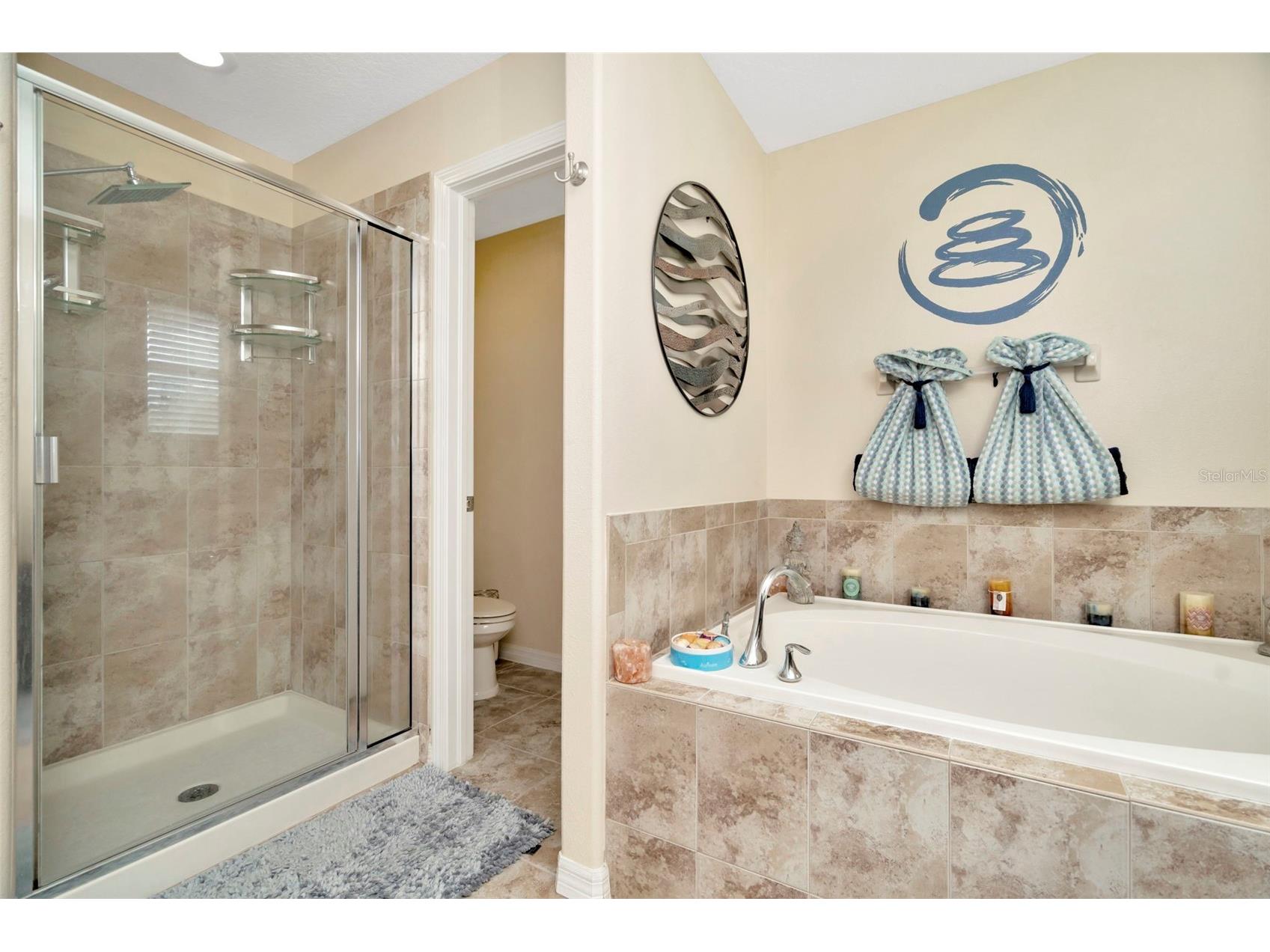 3529 Lefays Point Land O Lakes FL 34638 TB8479554 image28