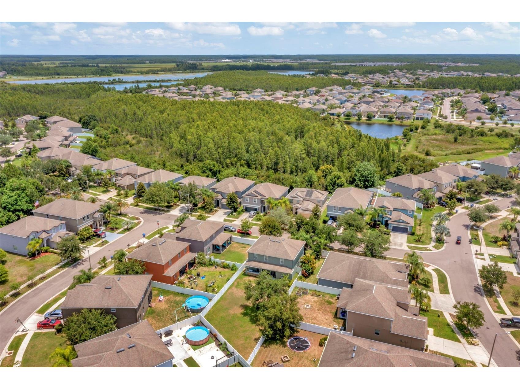 3529 Lefays Point Land O Lakes FL 34638 TB8479554 image48