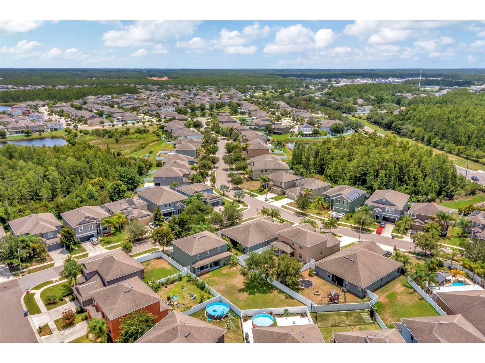 3529 Lefays Point Land O Lakes FL 34638 TB8479554 image49