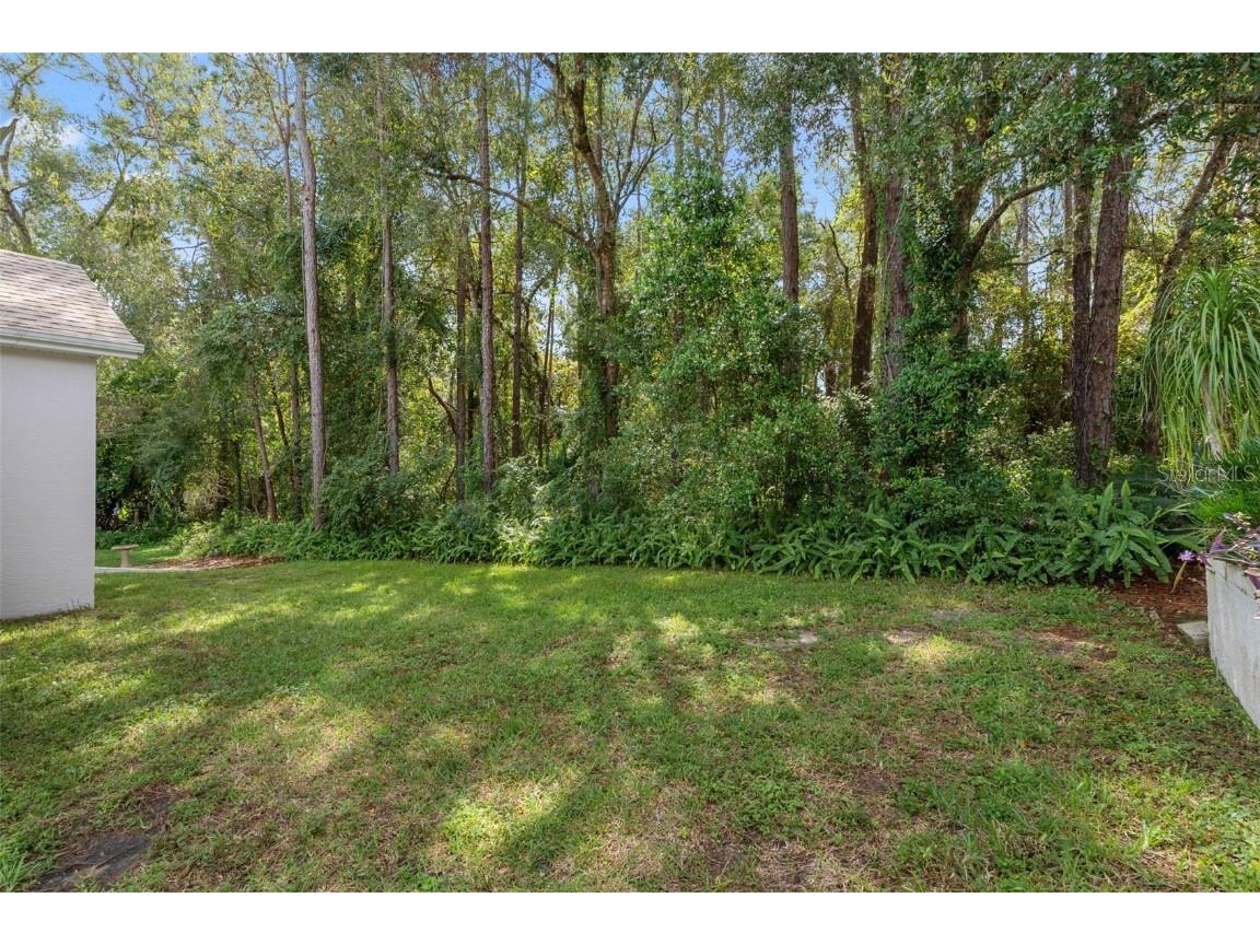 3529 S Belgrave Drive Inverness FL 34452 OM714046 image20