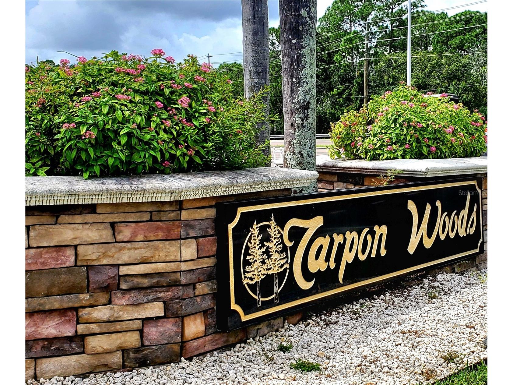 3529 Tanglewood Trail Palm Harbor FL 34685 TB8489948 image2
