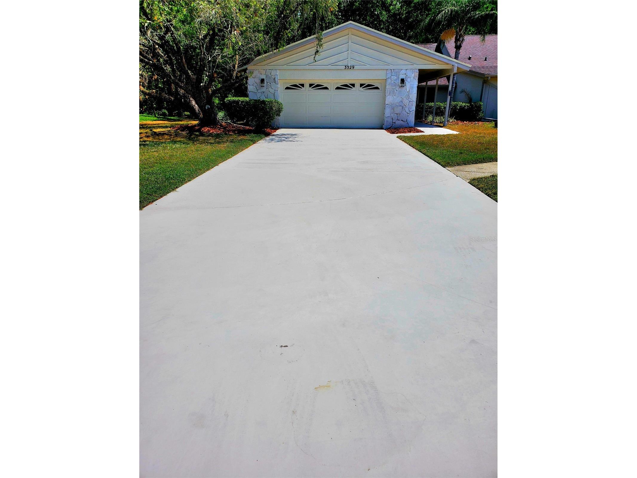 3529 Tanglewood Trail Palm Harbor FL 34685 TB8489948 image3