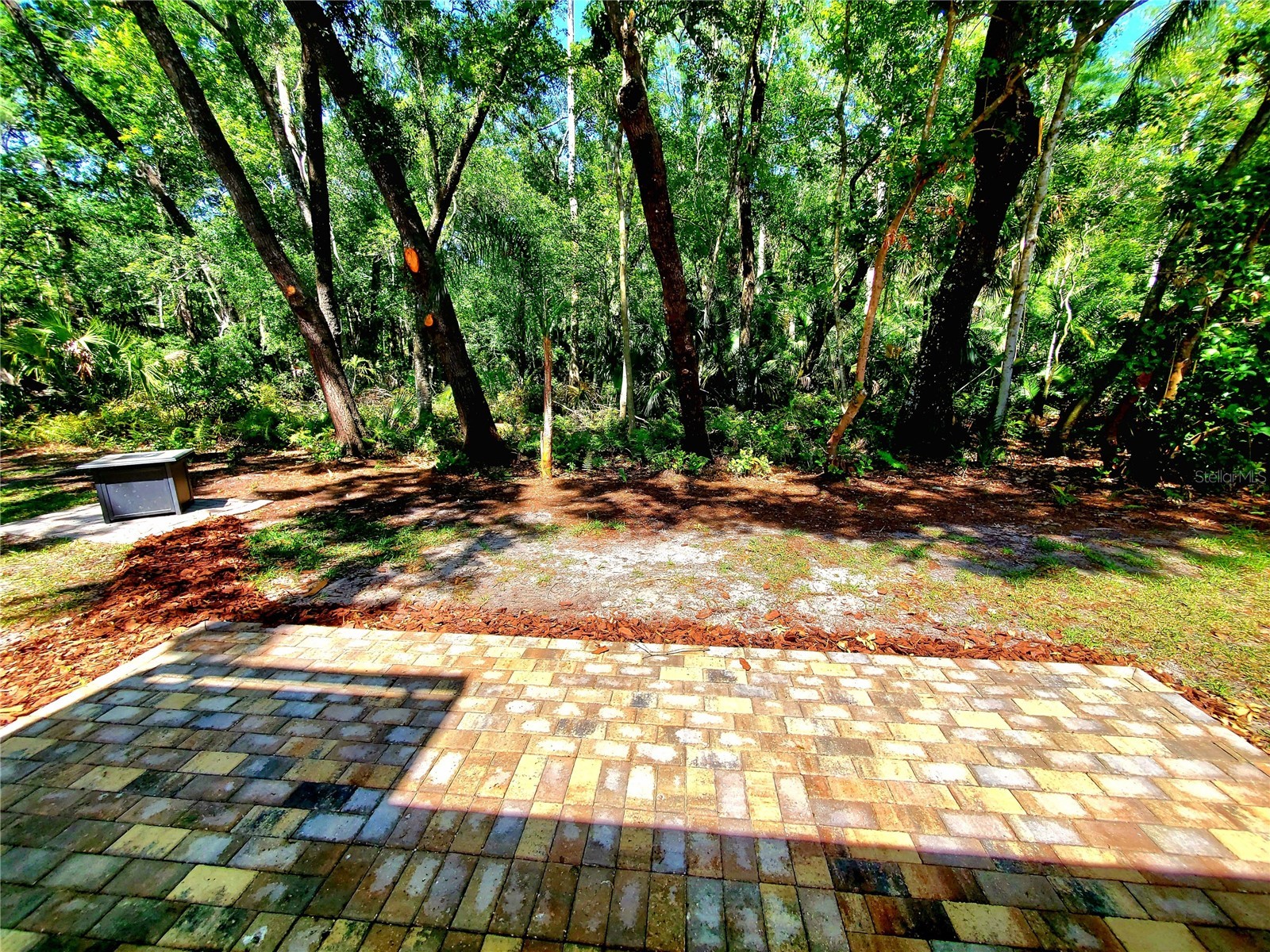 3529 Tanglewood Trail Palm Harbor FL 34685 TB8489948 image39