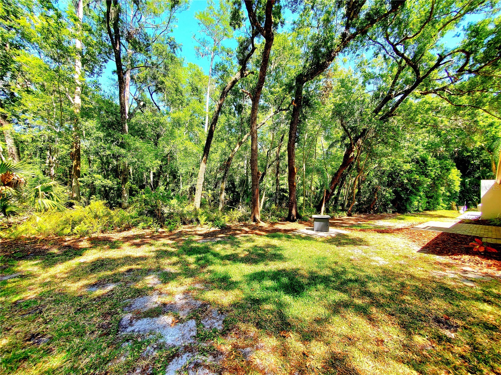 3529 Tanglewood Trail Palm Harbor FL 34685 TB8489948 image40